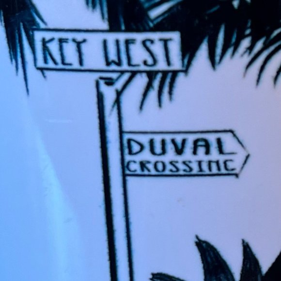 KEY WEST Florida  Souvenir Mug ~ Chickens Crossing Road ~ Duval Street - Picture 5 of 9